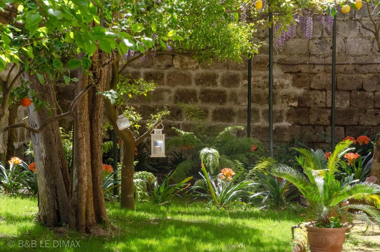 Le Dimax Bed & Breakfast Sant'Agnello Exterior photo